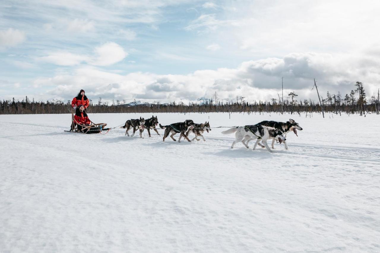 Lapland Hotels Riekonlinna Saariselka Ngoại thất bức ảnh